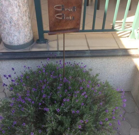 Пансион Gästehaus Auer Fritzi