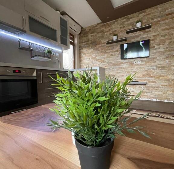 膳宿费 Guest House Amore