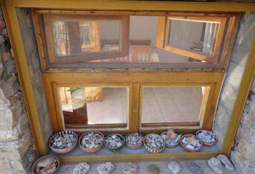 פנסיון Guest House Astra