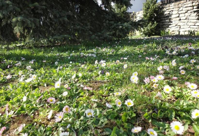 פנסיון Guest House Astra