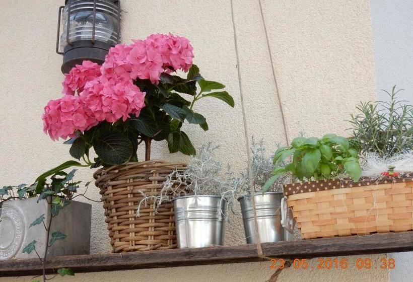 پانسیون Rooms & Apartments Parma