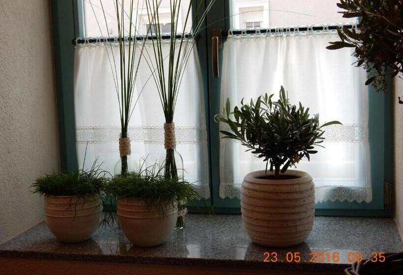 پانسیون Rooms & Apartments Parma