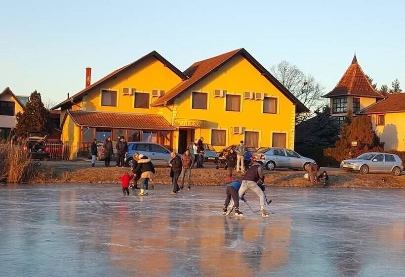 پانسیون Guest House Vila Alexandar