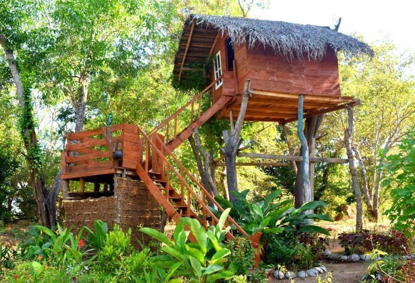 膳宿费 Iora Resort Habarana