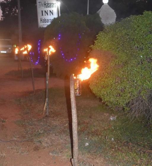 膳宿费 Iora Resort Habarana