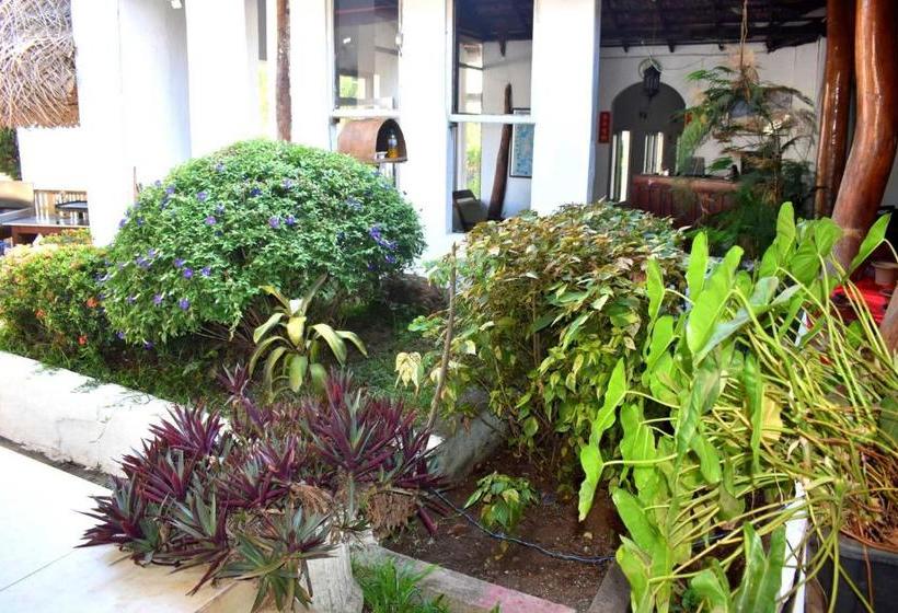 膳宿费 Iora Resort Habarana