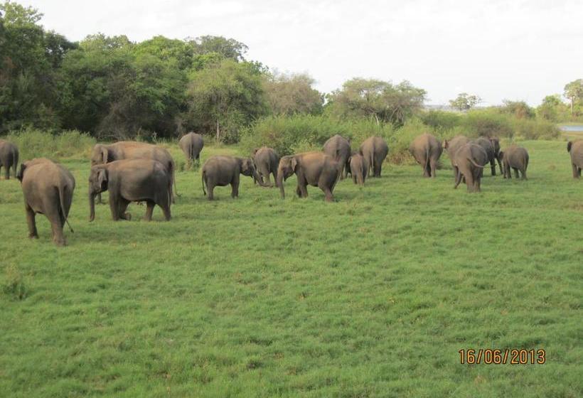 膳宿费 Iora Resort Habarana