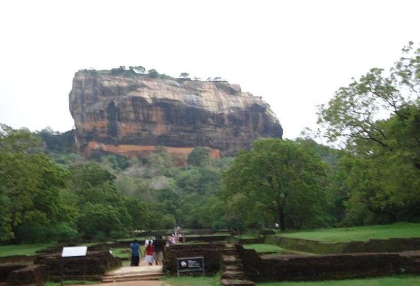 膳宿费 Iora Resort Habarana