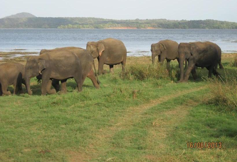 膳宿费 Iora Resort Habarana