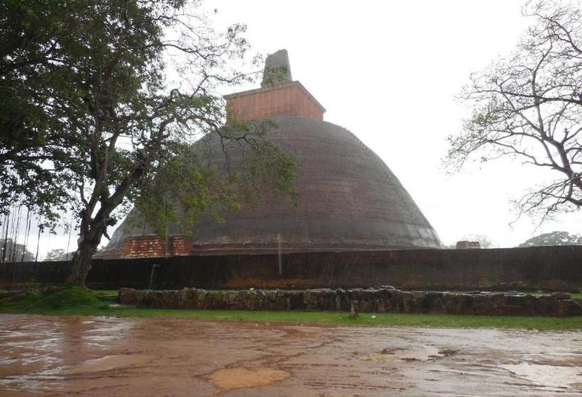 膳宿费 Iora Resort Habarana