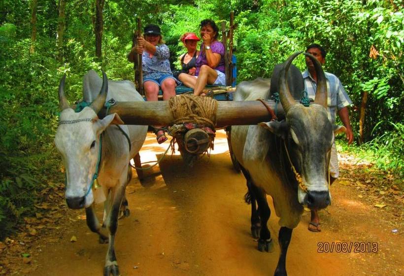 膳宿费 Iora Resort Habarana