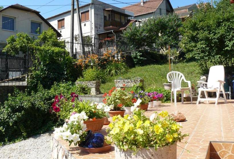 פנסיון Hejő Apartman