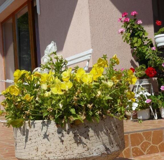 ペンション Hejő Apartman