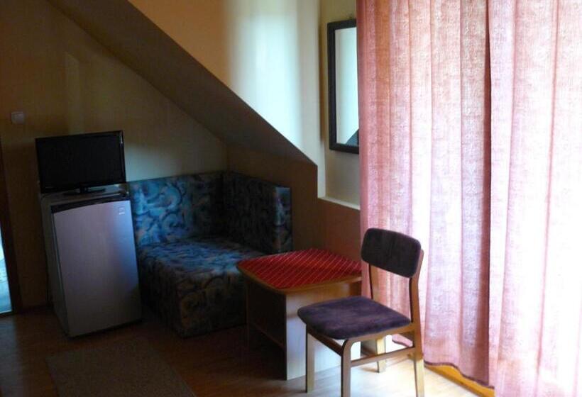 פנסיון Hejő Apartman