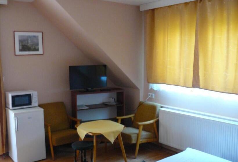 פנסיון Hejő Apartman