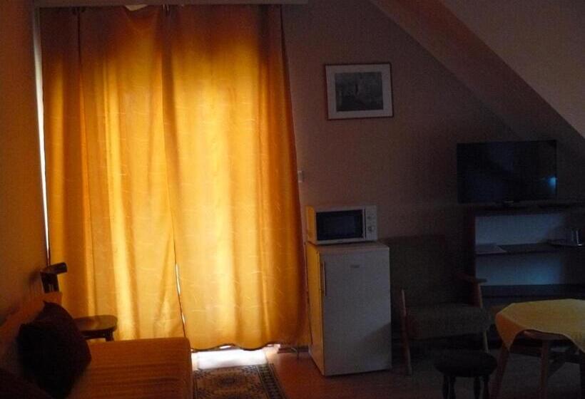 פנסיון Hejő Apartman