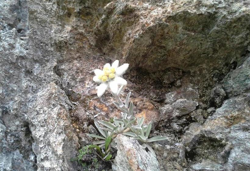 بنسيون Jagdhof