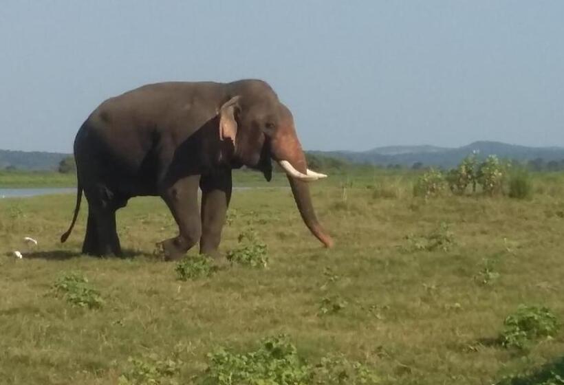 פנסיון Lak Nilla Guest House