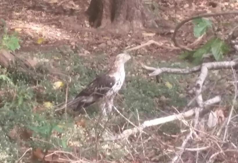 פנסיון Lak Nilla Guest House