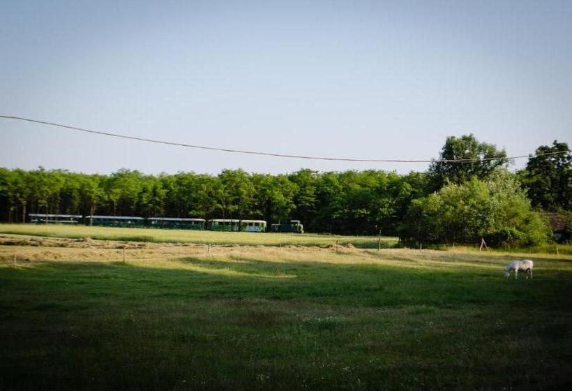 ペンション Lazy Days