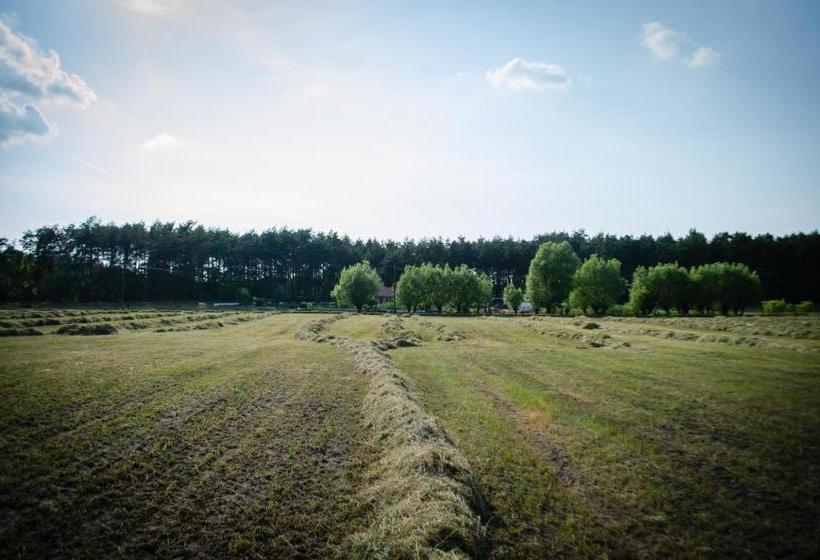 ペンション Lazy Days