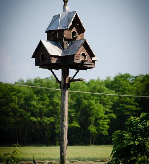 ペンション Lazy Days