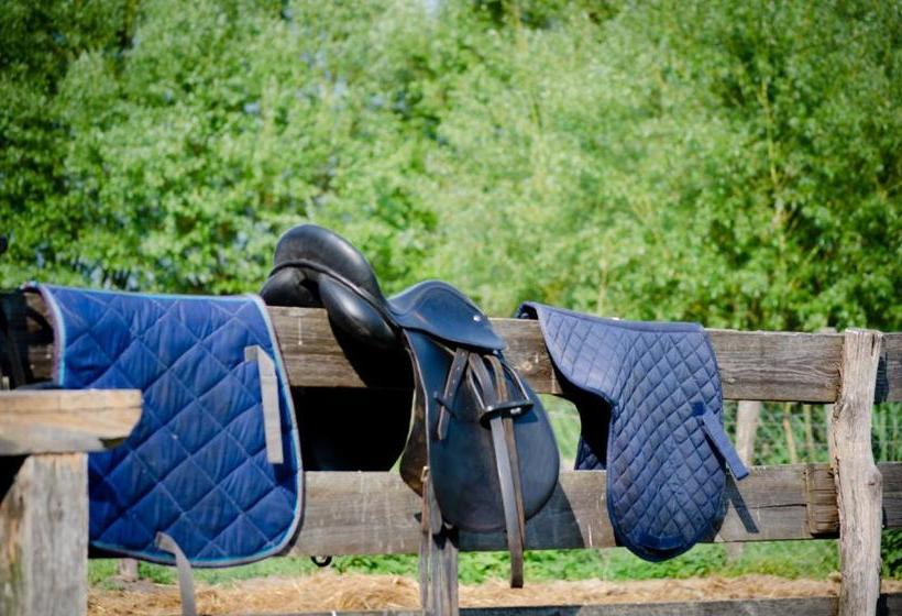 ペンション Lazy Days