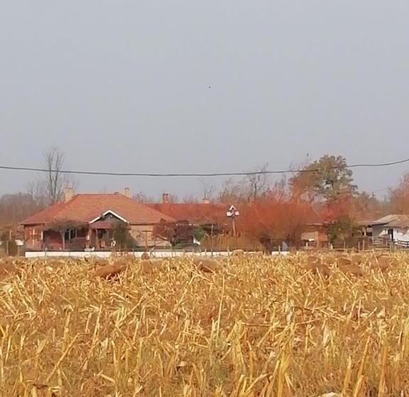 ペンション Lazy Days