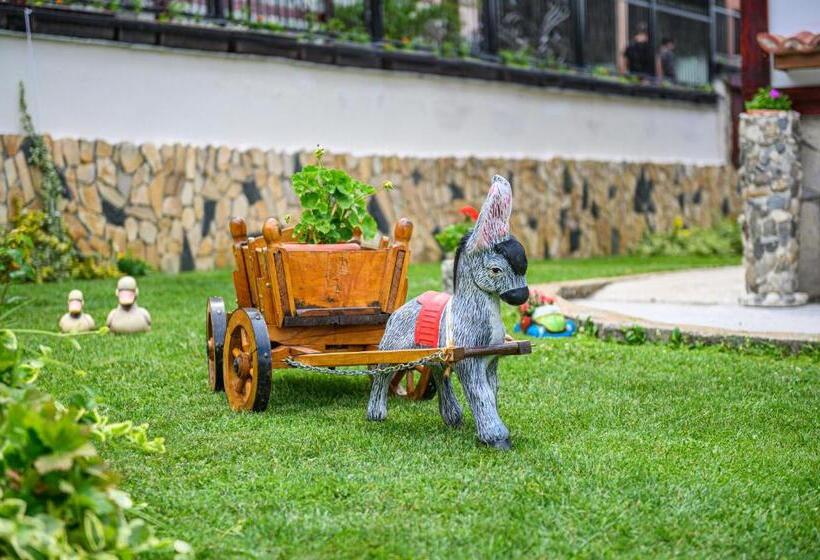 پانسیون Medi Guest House