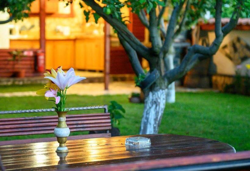 پانسیون Medi Guest House