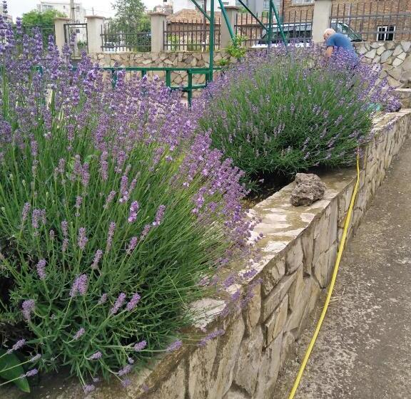 膳宿费 Panayotovi Guest House