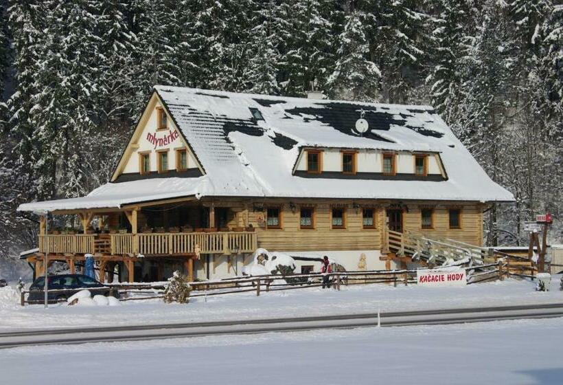 ペンション Penzión Mlynárka