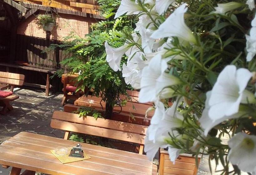 Пансион Penzion A Restaurace U Mámy