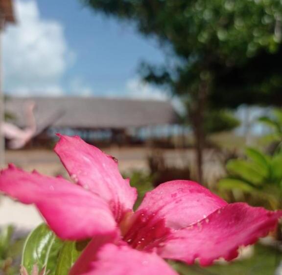 펜션 Pousada E Restaurante Do Francisco