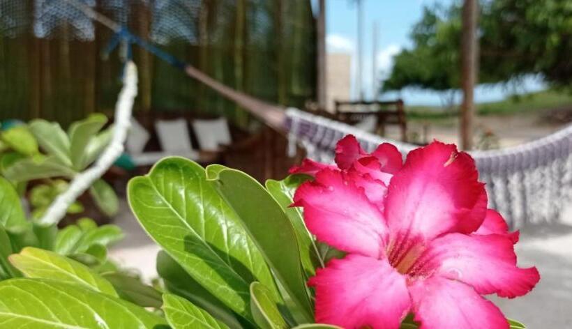 펜션 Pousada E Restaurante Do Francisco