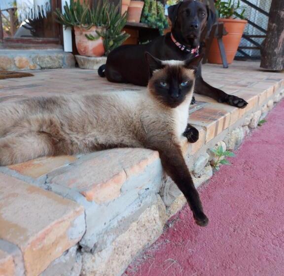 ペンション Pousada Vistacalma