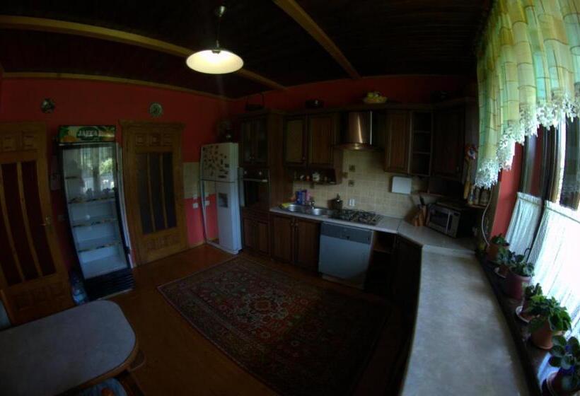 پانسیون Prutets Guest House