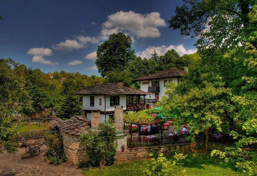 펜션 Strannopriemnitsa Guest House