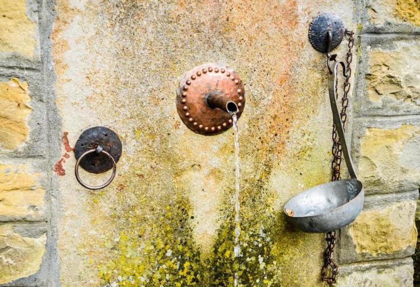 펜션 Strannopriemnitsa Guest House