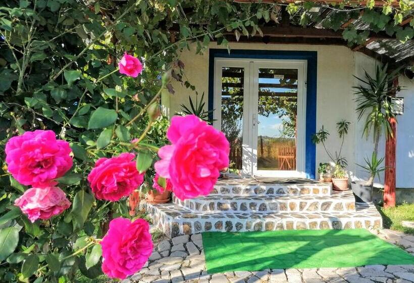 פנסיון Teo Guest Rooms