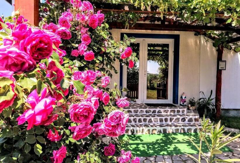 פנסיון Teo Guest Rooms