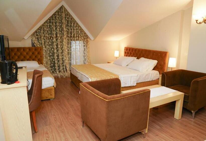 פנסיון Vila Arber