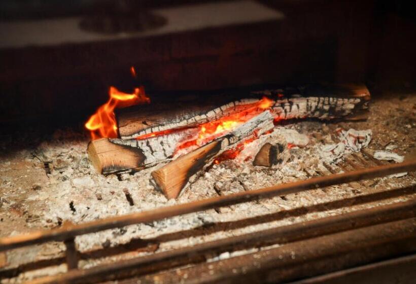 פנסיון Vila Arber