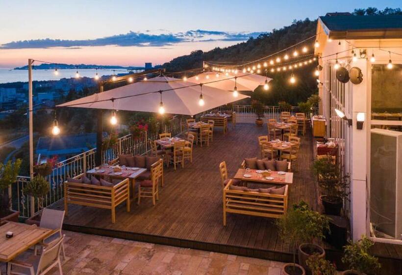 פנסיון Vila Arber