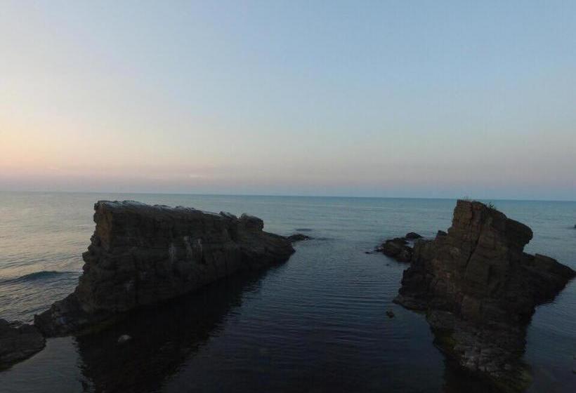 膳宿费 Villa California