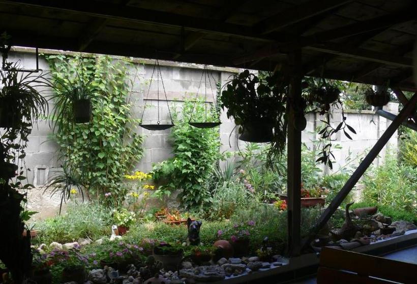 פנסיון Villa Climate Guest House