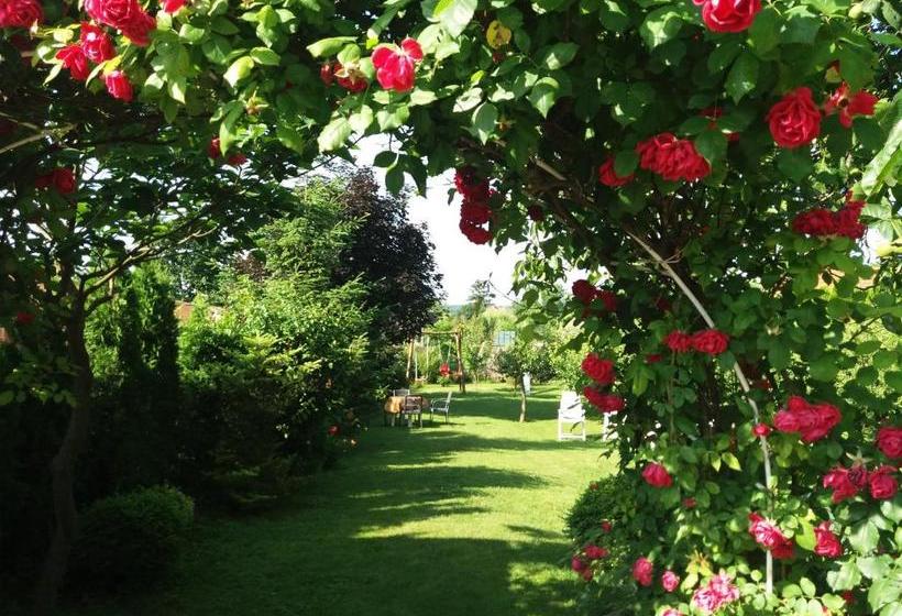 پانسیون Hajnalka Vendégház