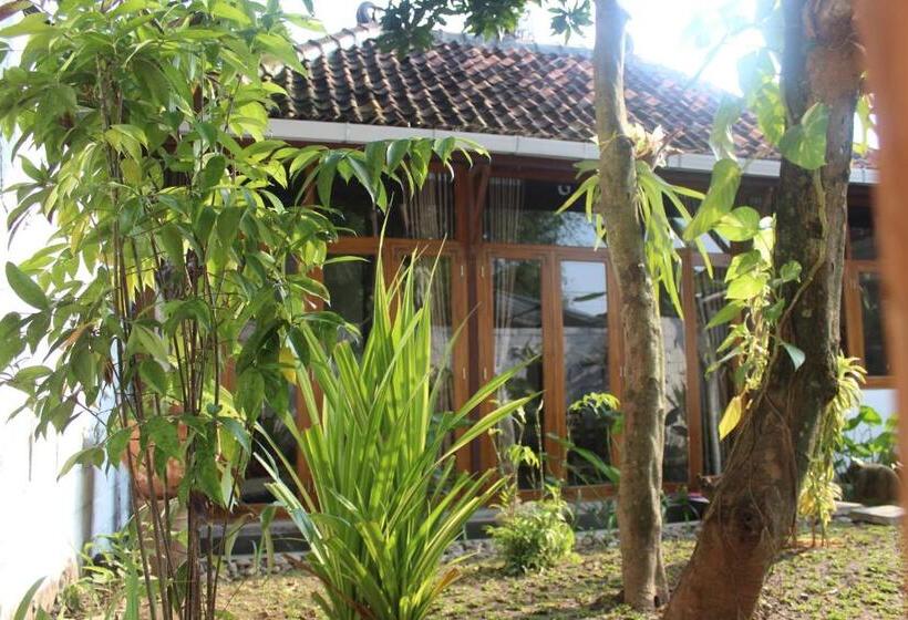 Пансион Yoga Lover