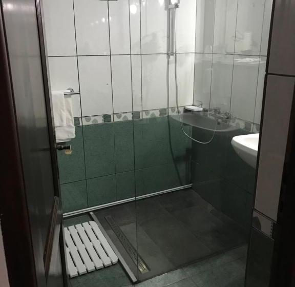 Pensiunea Cerbul Carpatin