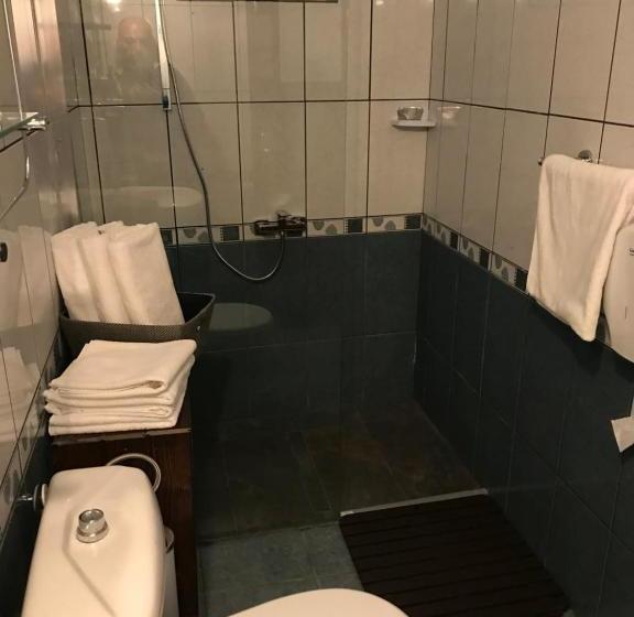 Pensiunea Cerbul Carpatin